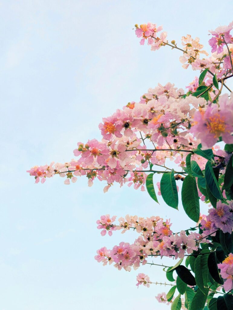note thanun Rf x0DWvDGY unsplash